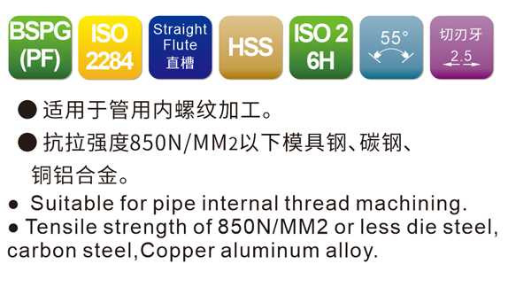 ISO 2284 Straight Fluted Parallel Pipe Taps